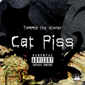 Cat Piss