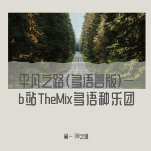 平凡之路（多语言)—b站TheMix多语种乐团