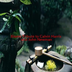 Blame (Tribute to Calvin Harris and John Newman)