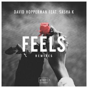 Feels feat. Sasha K (Vee Brondi & Henrell Remix)