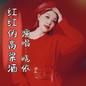 红红的高粱酒 (DJr&b版)