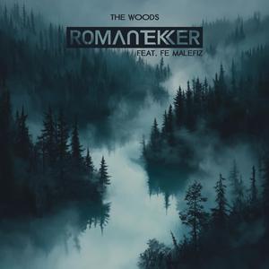 The Woods (feat. Fe Malefiz)