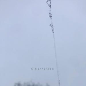 hibernation