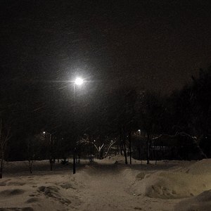 Под лунным светом