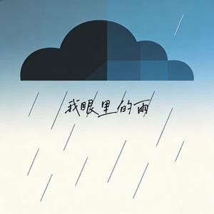 我眼里的雨（男声版）