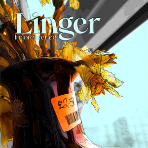 Linger (Acoustic Version)