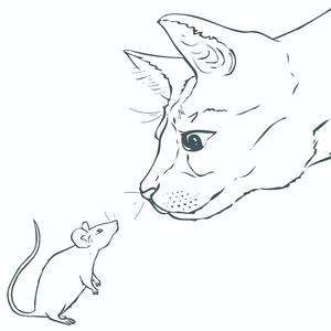 Dark Sht (This Cold Normandy)