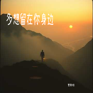 多想留在你身边