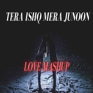 Tera Ishq Mera Junoon