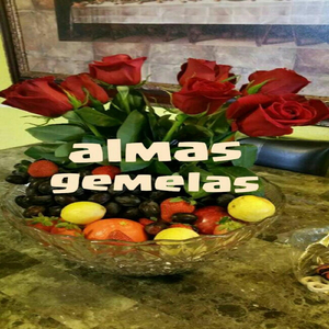Almas Gemelas