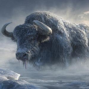 Auðumbla…
