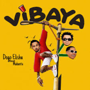Vibaya