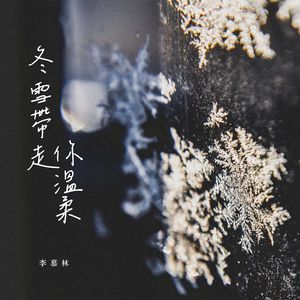 冬雪带走你温柔