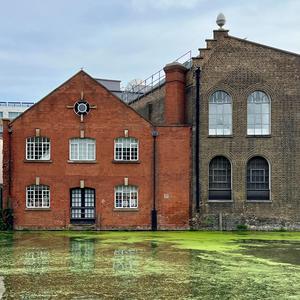 When I Put My Ears Under Water, It Sounds Like Music (feat. The Curiosity Cabinet)