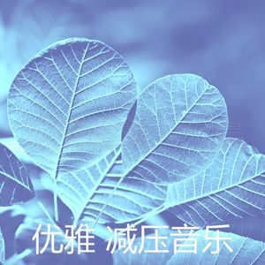 抚慰的平静的回忆