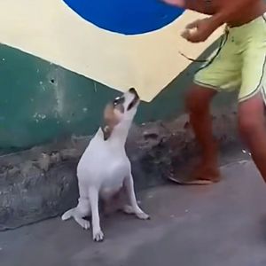 feded_异域 (Ogger remix)