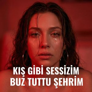 Kış Gibi Sessizim Buz Tuttu Şehrim