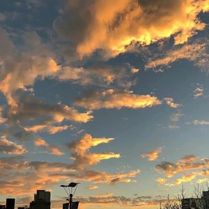 凛冬至圣The Holy of Winter-《Game of Thrones: Aliens》插曲