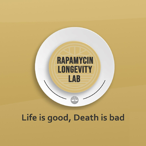 Life Is Good, Death Is Bad