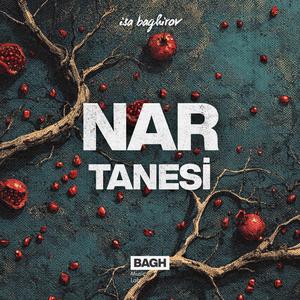 Nar Tanesi