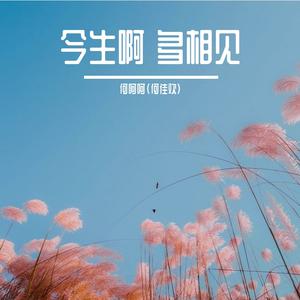 今生啊 多相见