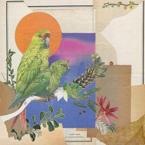 caso de amor brasiliense