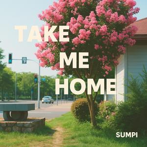 Take Me Home