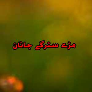 Marhy stargy jannana