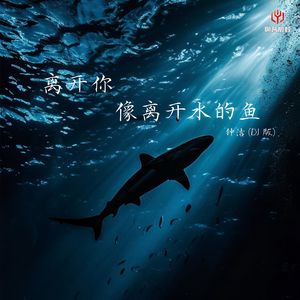 离开你像离开水的鱼(DJ豪大大版)