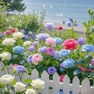 花瓣雨