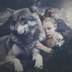 늑대와 그림자 (신생아 자장가)