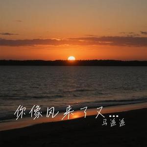 你像风来了又走 (Cover 吕口口)