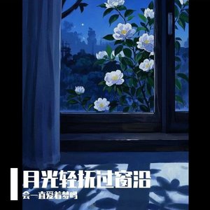 月光轻抚过窗沿.mp3