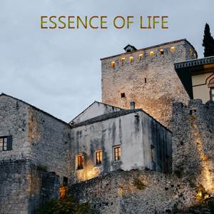 I Wish to Serve You Faithfully