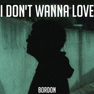 I Don't Wanna Love
