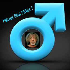 Même Pas Mâle