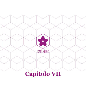 Capitolo VII