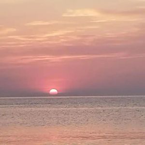 许多年前我离开了家乡