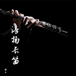忘情水 (长笛)