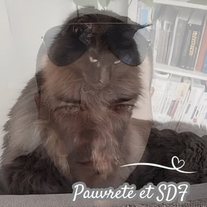 Pauvreté et SDF