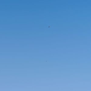 很久没见的朋友