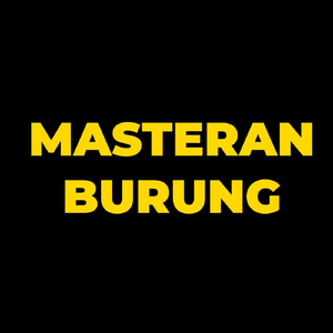 Murai Batu Gacor Isian Mewah Untuk Burung Anda