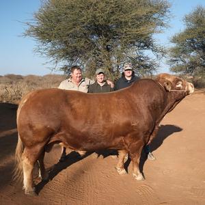 VIELIES MET SY VELLIES (feat. Alika du Plessis)