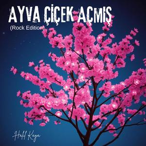 Ayva Çiçek Açmış (Rock Edition)