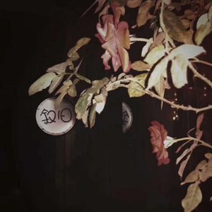 在风花雪月里叙旧