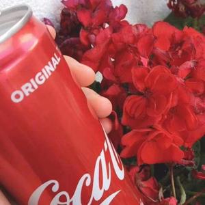 Boombap Freestyle(Prod.房间里的大象）