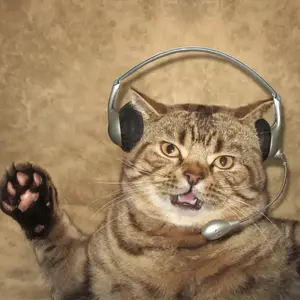 骑在银龙的背上-小提琴与钢琴/老姑大猫