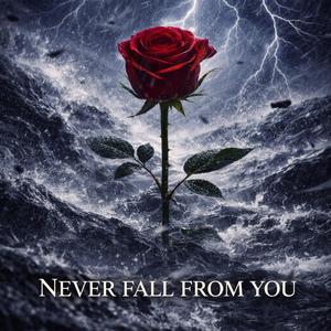 Never Fall From You