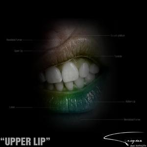 Upper Lip (feat. Natalita)