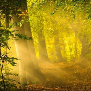 刻在回忆里的邂逅